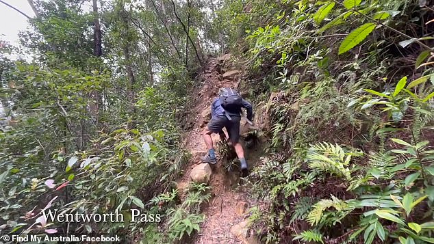 Several areas around Wentworth Falls (pictured: a hiker on the trail on Monday) had been closed since March 11 due to flood damage, with a major landslide recently closing the Kedumba Valley Road.