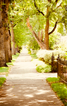 neighborhood, beautiful, walk