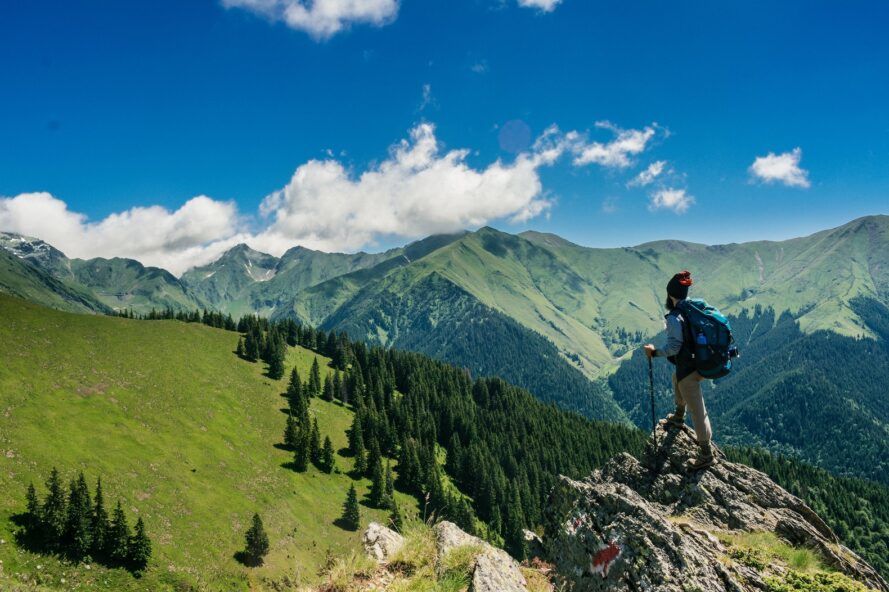 A person standing on a hill looking towards a forest area