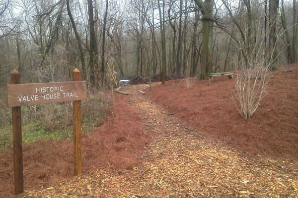 Hiking in Nashville