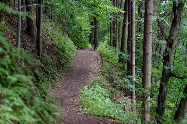 Nashville Hiking Trails