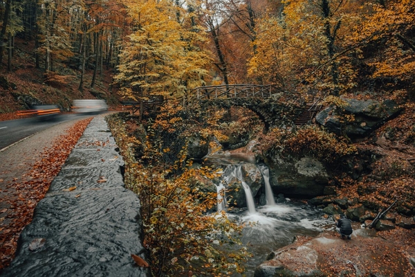 One of Nashville's best hiking trails