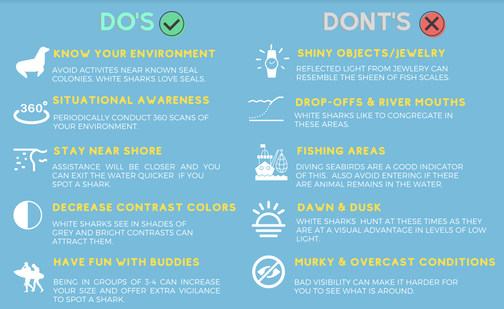 A list of top tips and advice for swimmers, snorkelers and surfers in Nova Scotia from Schiliro's infographic.