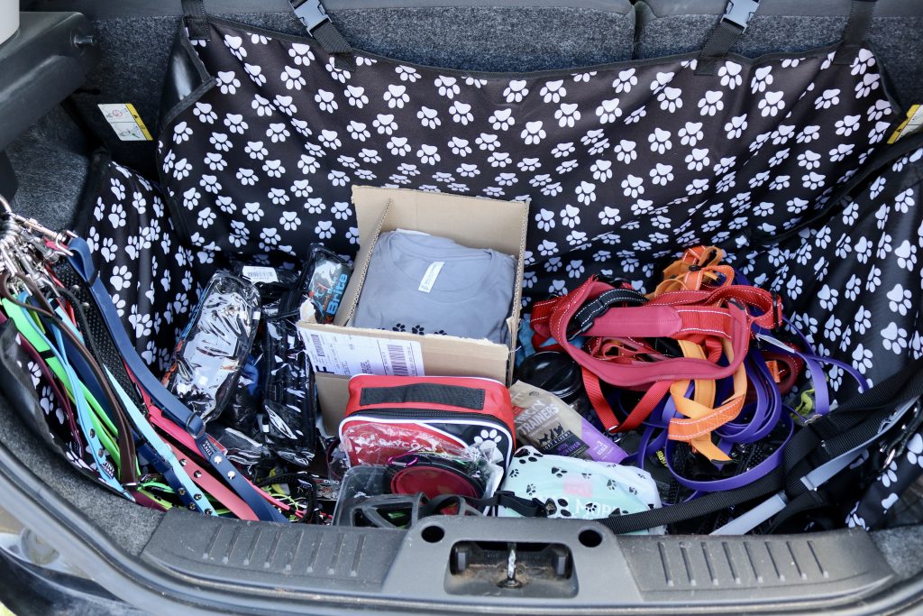 Various dog items are seen in the trunk of Phae Sunday's car, Ivins, Utah, August 31, 2022 |  Photo by Jessi Bang, St. George News