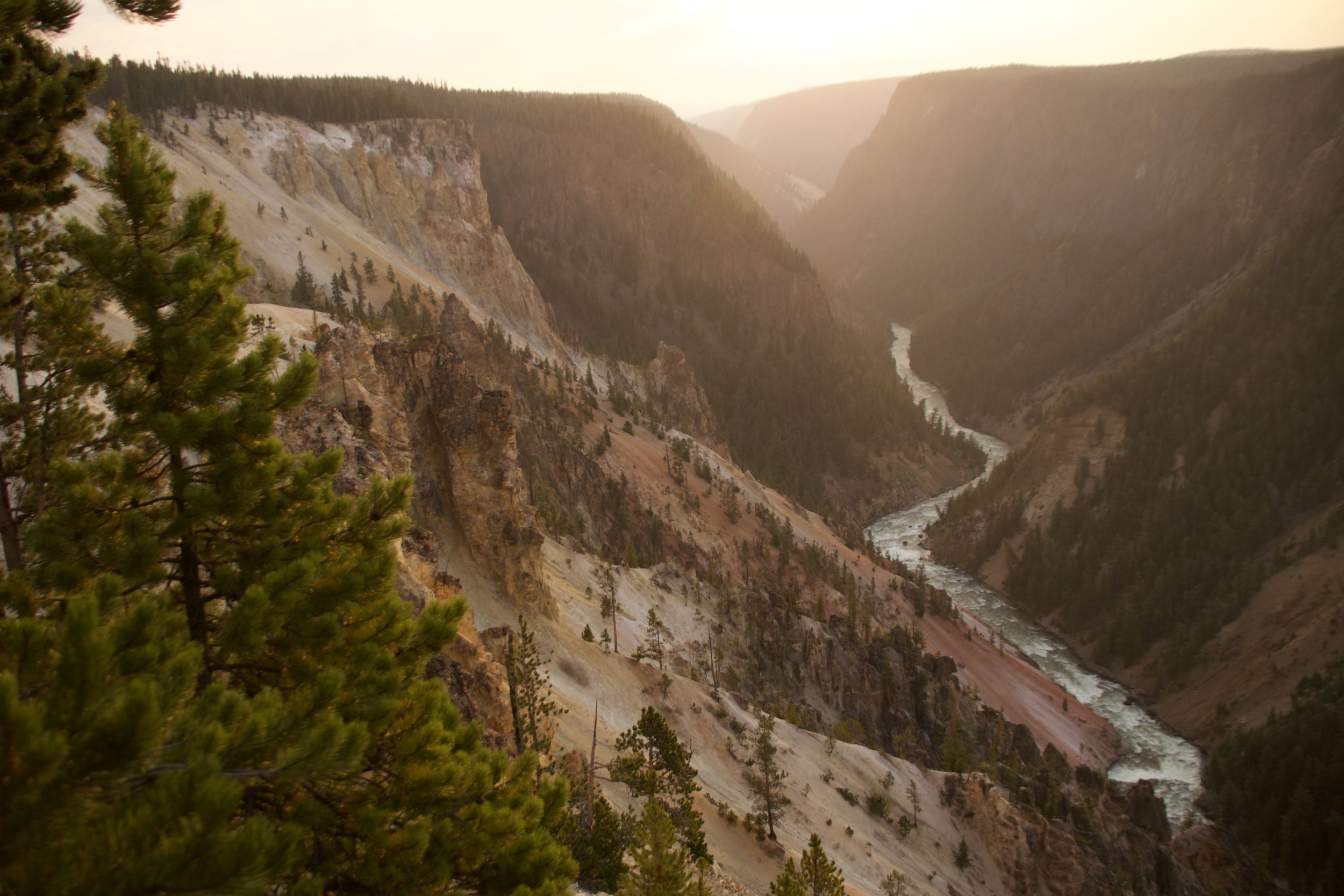 Grand Canyon of Yellowstone in Yellowstone National Park
